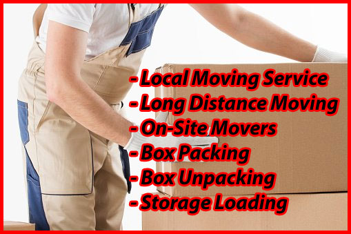 Packers And Movers Noida Sector 62